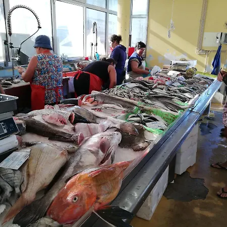 Aveiro Beach Hotel Hostel *