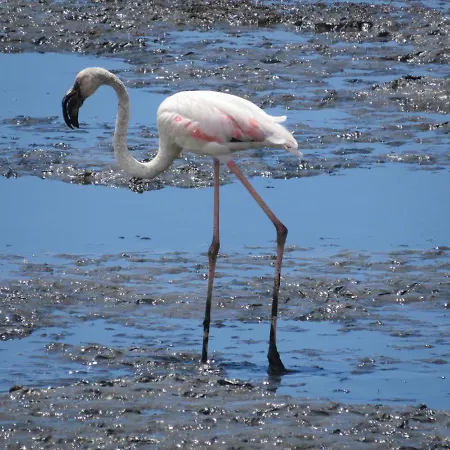 Hostel Aveiro Beach Hotel Aveiro
