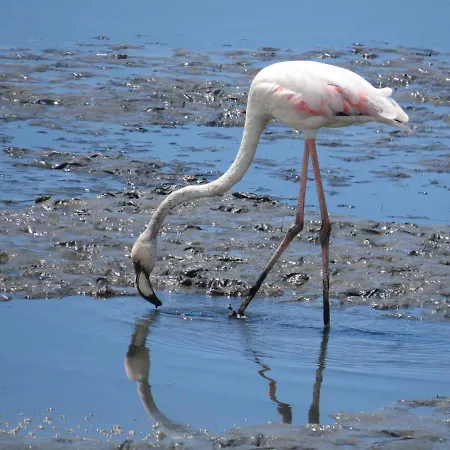 Albergue Vagueira & *