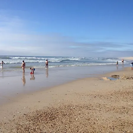 Vagueira & *