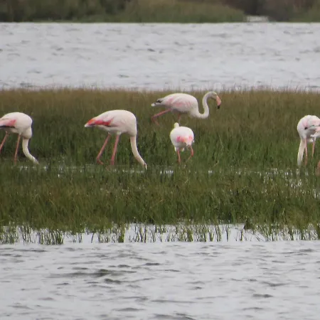 Aveiro Beach Hotel Hostel *