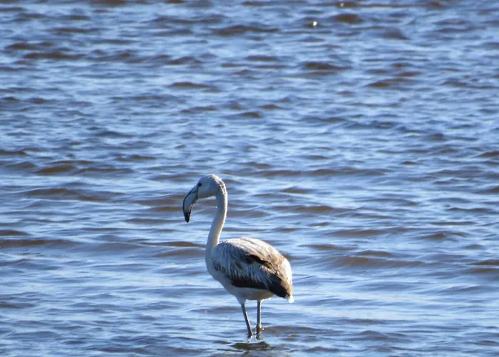 Portugal Хостел *