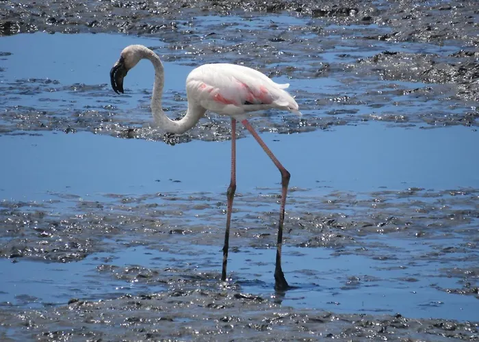 Хостел Portugal Авейру