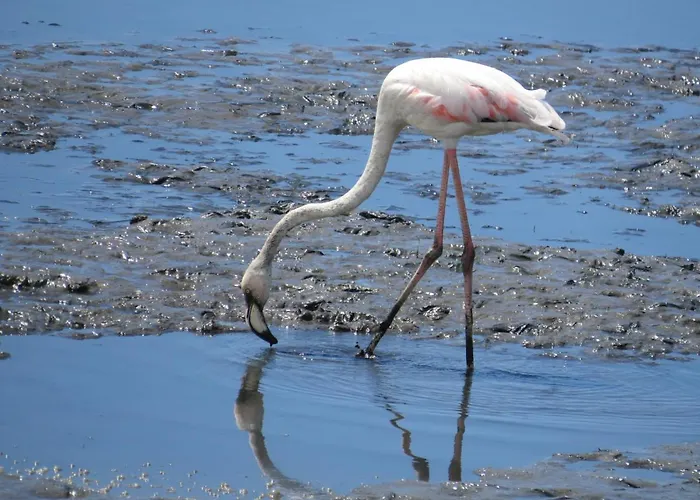 Хостел Portugal *